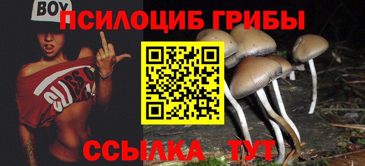Псилоцибиновые грибы мухоморы  Вход с VPN  Киселёвск 