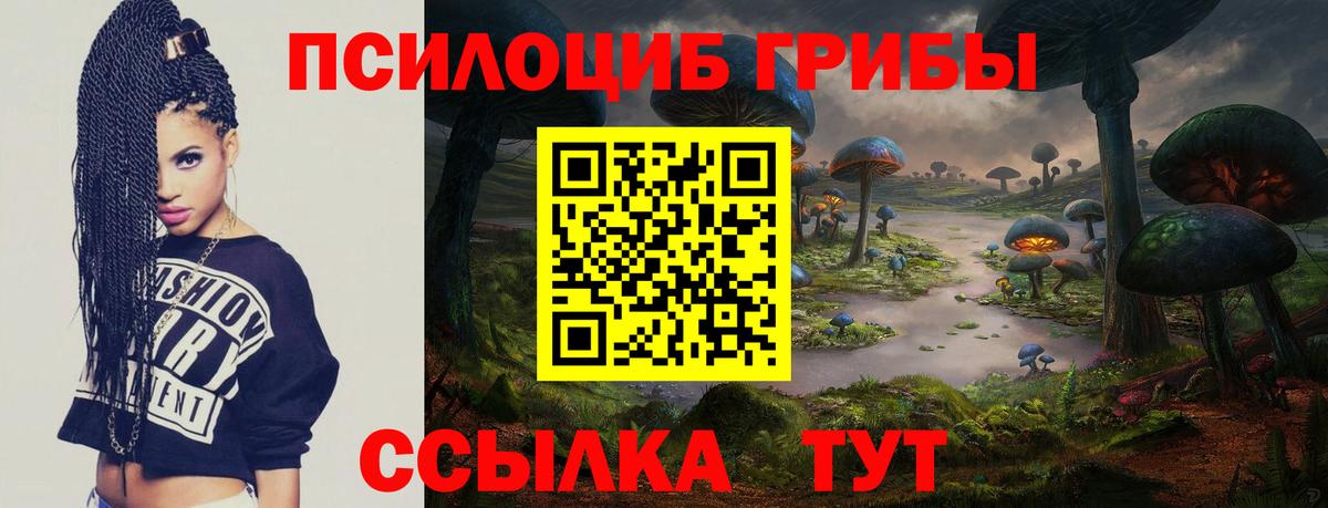 Галлюциногенные грибы MAGIC MUSHROOMS Киселёвск